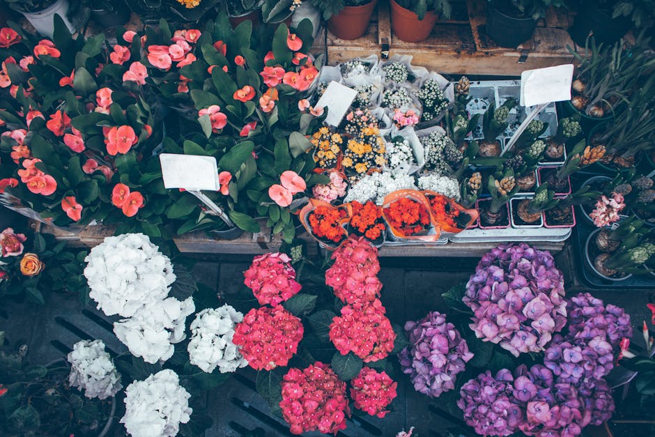 A vibrant selection of potted flowers displayed outdoors on wooden crates and tables, featuring pink, white, purple, and orange blooms. The bouquet of pink hydrangeas and white flowers are arranged in